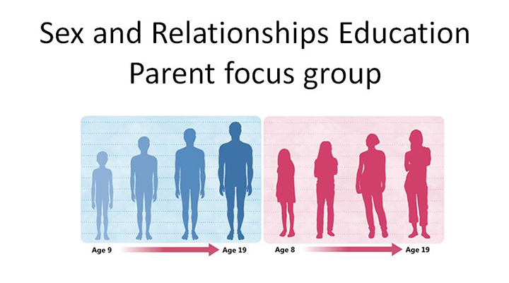 SRE Parent Focus Group presentation